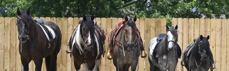 Triple R Riding Club Triple R Stables & Tack
