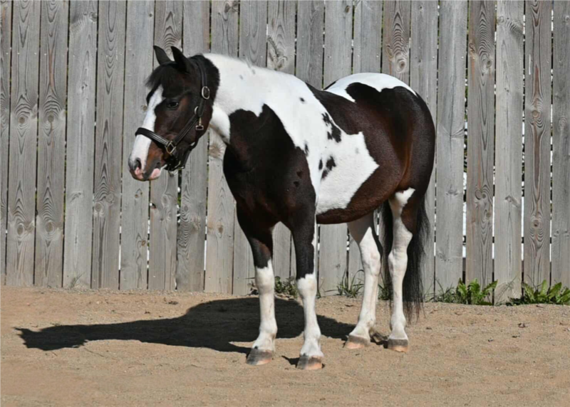 🥰 Dakota 🥰