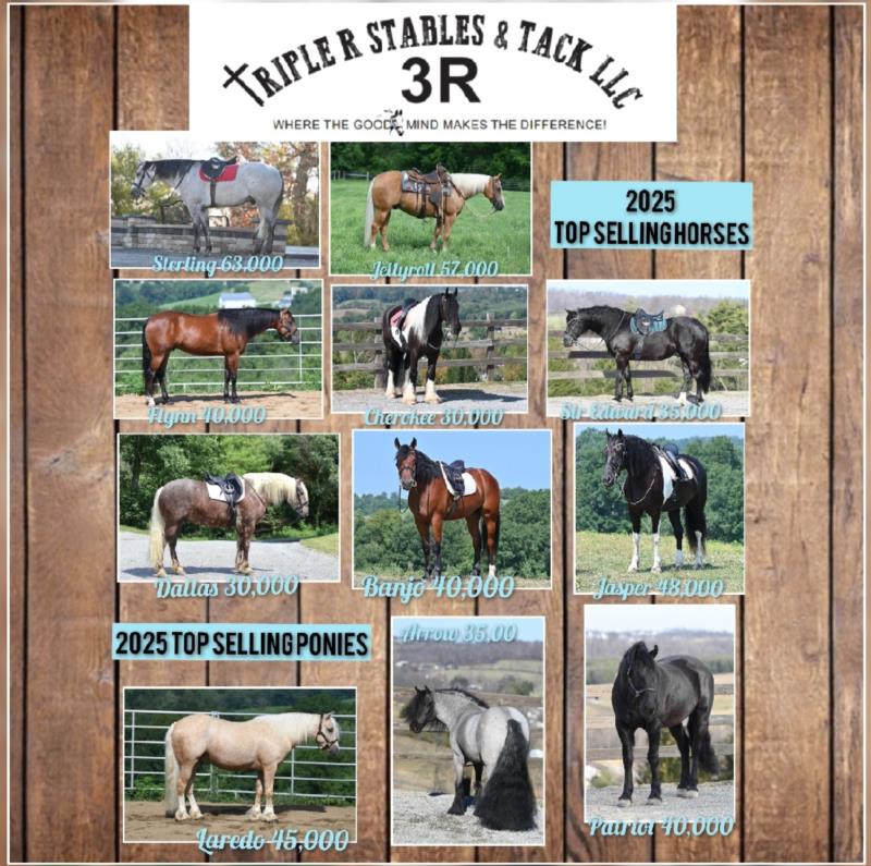 2025 High Sellers