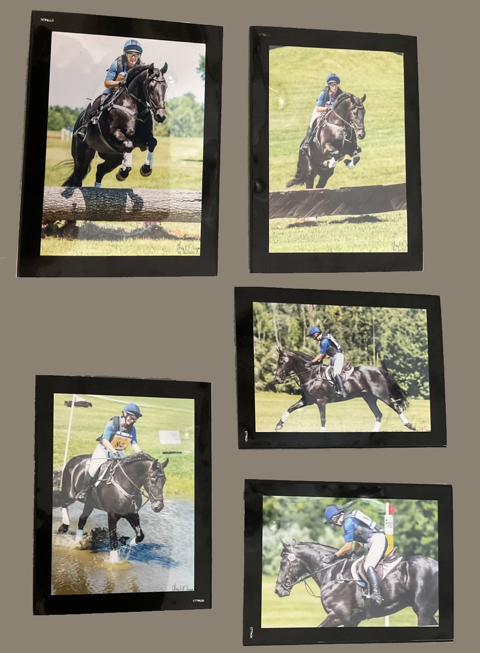 Ann Lippy